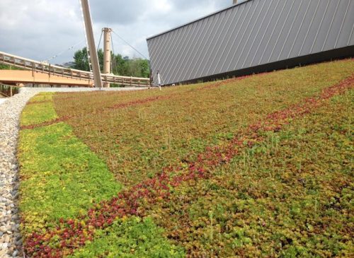 Indianapolis Zoo Orangutan Exhibit Green Roof